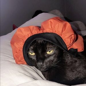 Meet your Posher, Mj